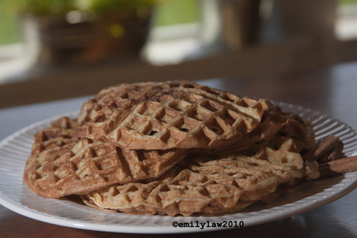 Apple waffle recipes
